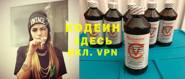 индика Алексин