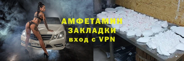 индика Алексин