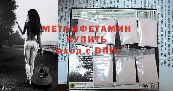 индика Алексин
