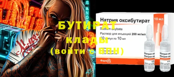 индика Алексин
