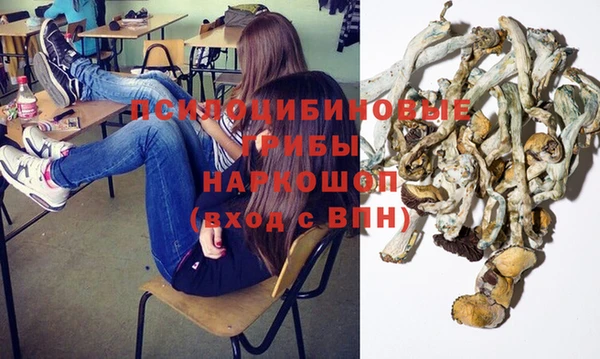 амф Горняк