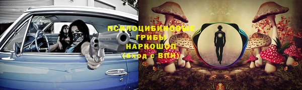 синтетический гашиш Алексеевка